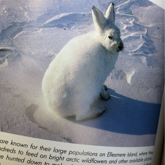 Outdoor Traveler's Guide to Canada - Picture 10 of 15